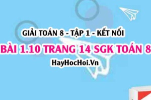 Bài 1.10 SGK Toán 8 tập 1 Kết nối tri thức